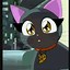 Image result for Creepy Cat From Flapjack