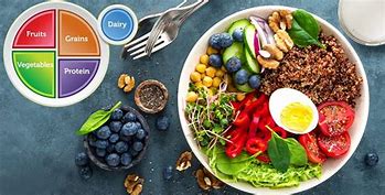 Image result for Healthy Eating Food Plate
