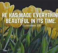 Image result for Christian Quotes for the Day