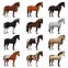 Image result for Horse Breeds UK Chart