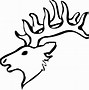 Image result for Deer Skull with Jaw