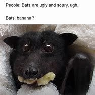 Image result for Smiling Bat Meme