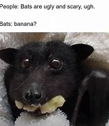 Image result for Bat Banana Meme