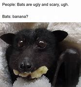 Image result for Funny Fruit Bat Memes