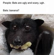 Image result for Bat In-House Meme