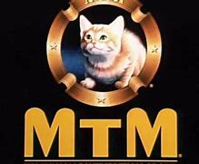 Image result for MTM TV