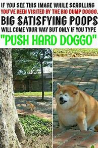 Image result for Doggo Memes