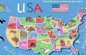 Image result for Cute United States Map