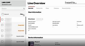 Image result for Verizon Business Lines