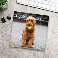 Image result for Mini Goldendoodle Wall Calendar