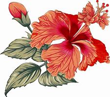Image result for Flower Drawing for Background