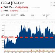Image result for Tesla shares fall