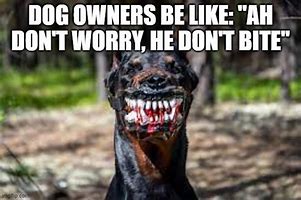 Image result for Don't Worry He Doesn't Bite