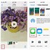 Image result for How to Use AirDrop On iPhone