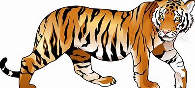 Image result for Tiger Walking Clip Art