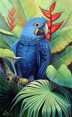 Pin de Noelia Medina em ptáci | Pinturas de pássaros, Pinturas de animais, Desenhos de aves