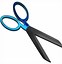 Image result for Gold Scissors for Year 7