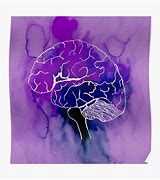 Image result for Purple and Blue Brain