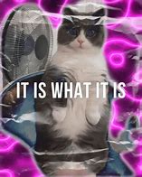 Image result for Its Is What It Is Meme