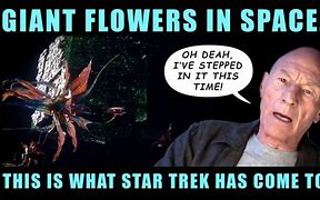 Image result for Star Trek Picard Space Flowers