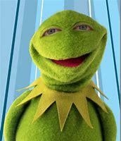 Image result for Kermit Puppet Meme