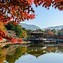 Image result for Nara Osaka