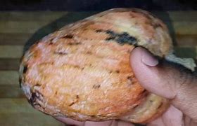 Image result for Jamaican Custard Apple Fruit