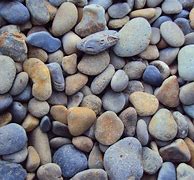 Image result for Small White Rocks