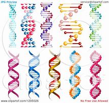 Image result for DNA Cloning Clip Art