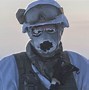 Image result for 4chan Special Forces Branches Meme