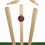 Image result for Cricket Stumps Bat