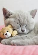 Image result for Cute CAD