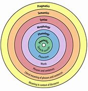 Image result for Morphology and Syntax