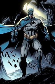 Image result for DC Comics Batman Cartoon