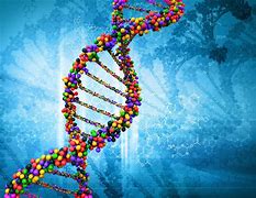 Image result for Genome Background
