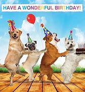 Image result for Funny Animal Birthday