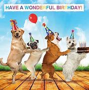 Image result for Funny Animal Happy Birthday Dog