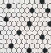Image result for Black and White Mosaic Floor Tile