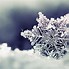 Image result for iPad Screen Frozen