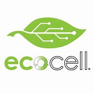 Image result for Phoenix ECO Cells