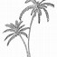 Image result for White Palm Tree