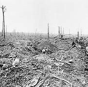 Image result for WW1 Somme Battle