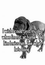 Image result for I'm Sorry Cute Puppy Memes