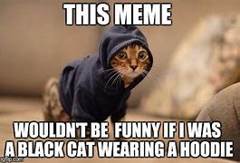 Image result for hoodies cats memes
