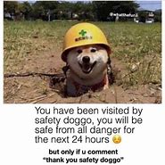Image result for Safety Doggo