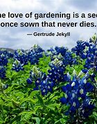 Image result for Gardening Quotes and Sayings