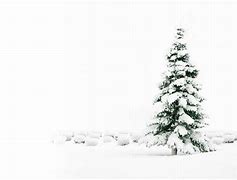 Image result for Black and White Christmas Background