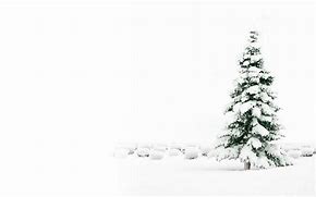 Image result for Black and White Christmas Background