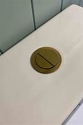 Image result for Brass Toilet Flush Button