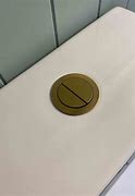 Image result for Wirquin Single Flush Button